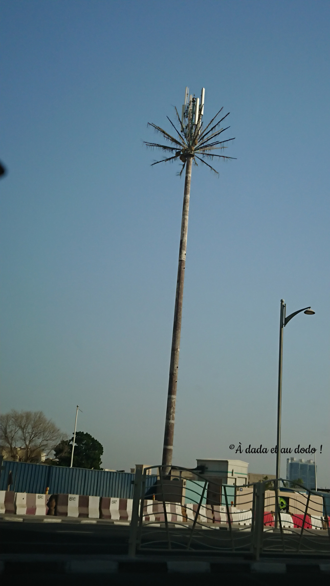 Palmier antenne relais à Dubaï