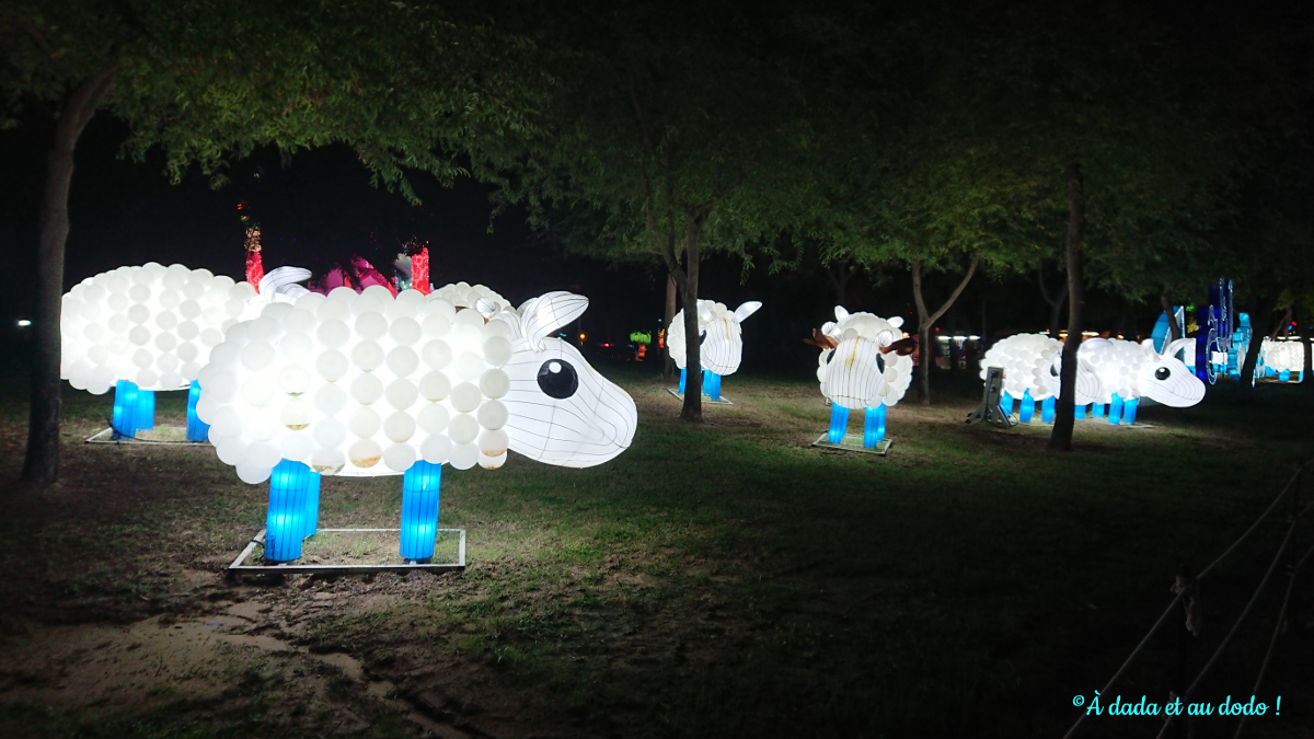 Dubai Garden Glow : les moutons