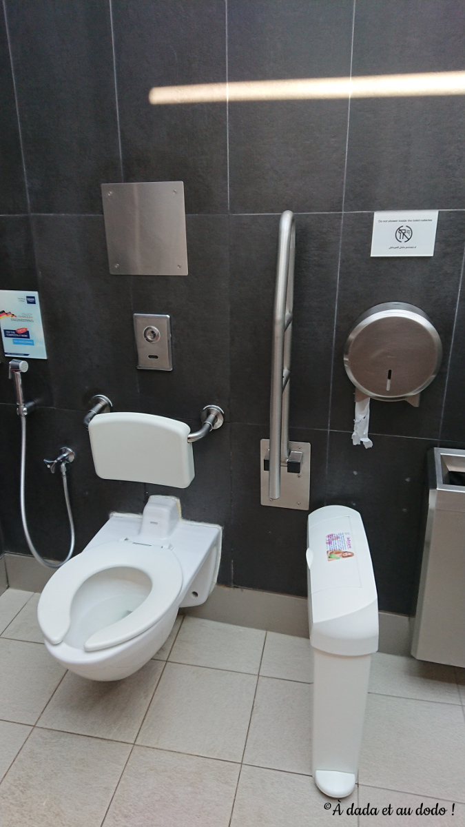 Toilettes à Dubaï