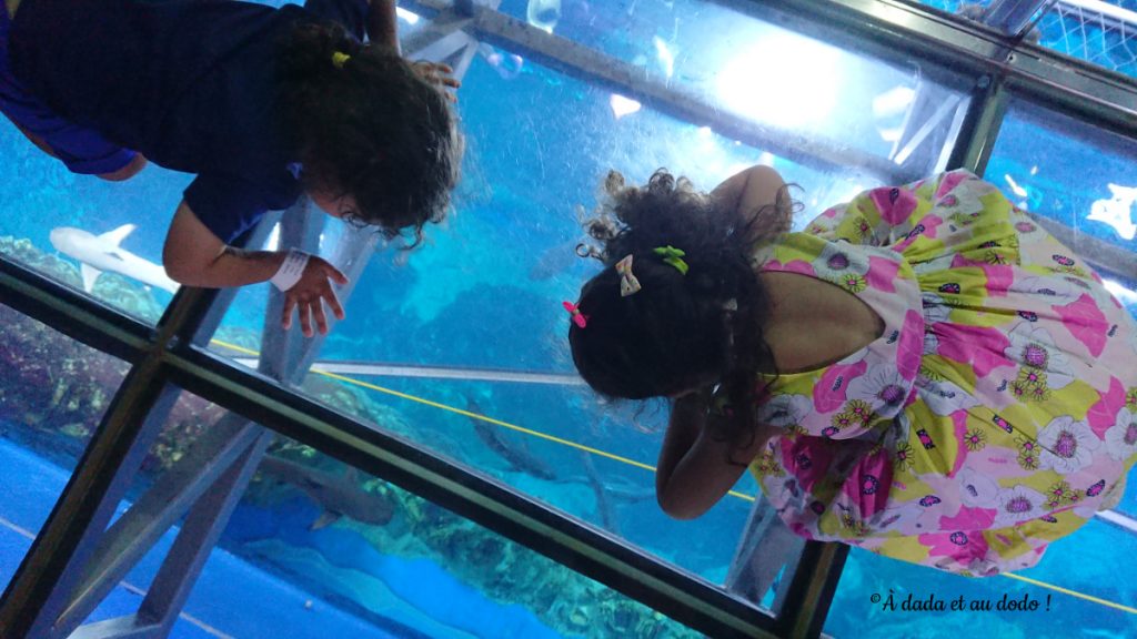 Aquarium de Dubai Mall