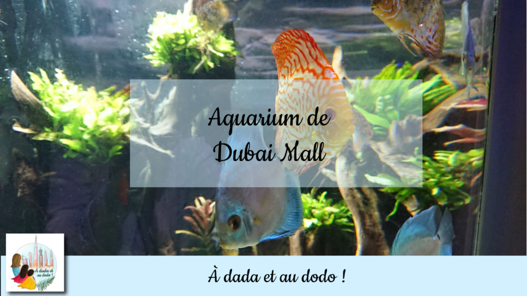 Aquarium de Dubai Mall